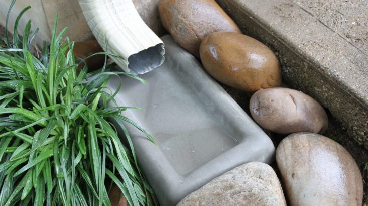 rain water harvesting