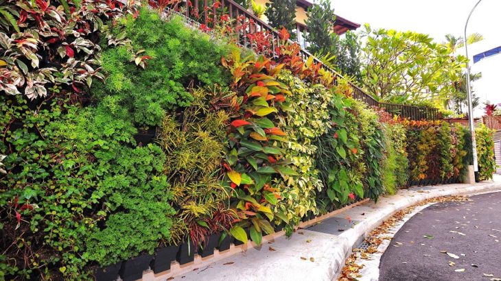 Living Wall