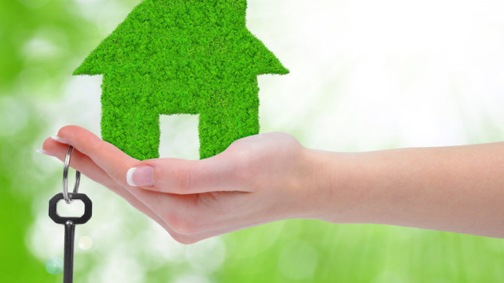 Buying Your First Home, Green Project, Green Home, Green Home Features