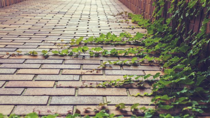 reusing bricks