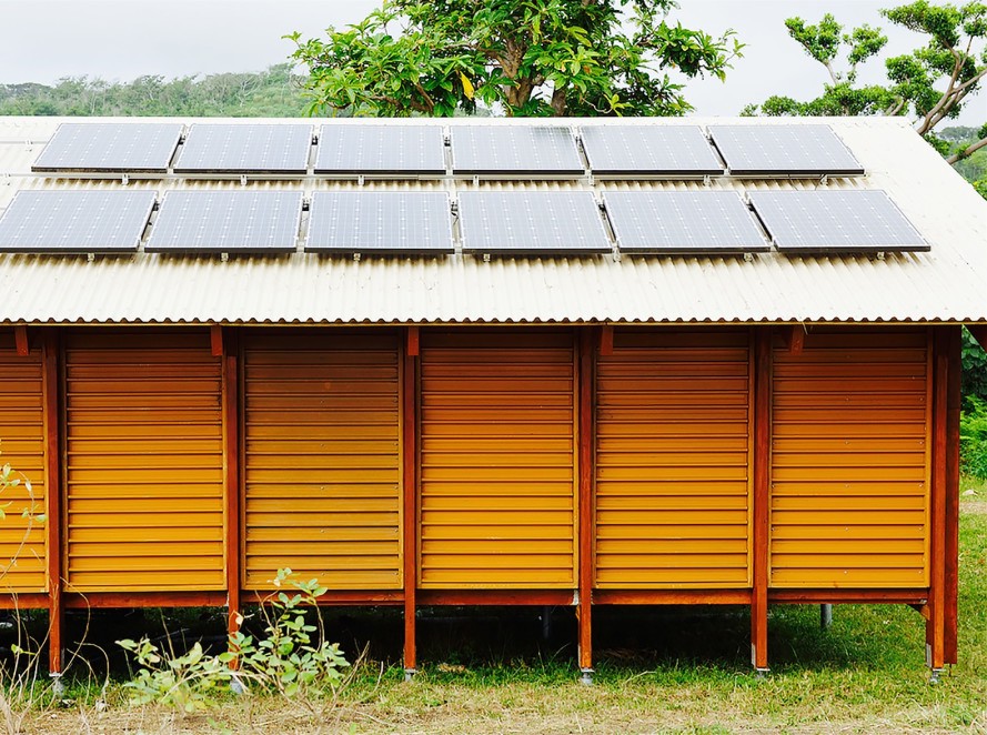 Green Buildings Materials That Are Better Than Concrete - bamboo