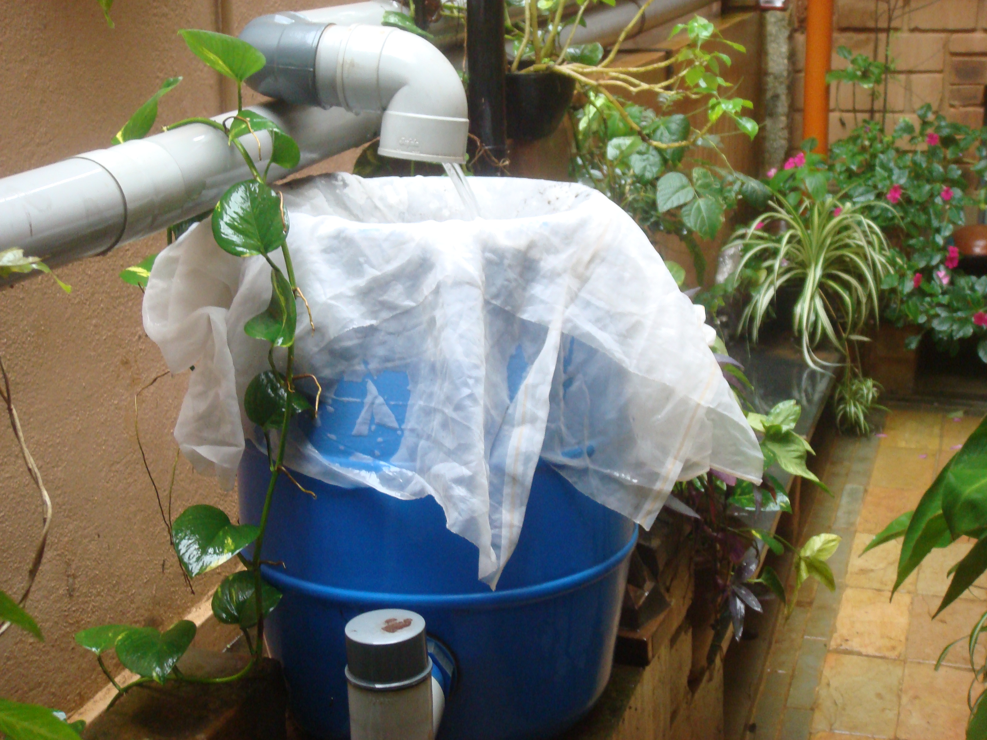 rain water harvesting