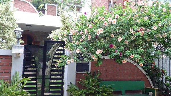 eco friendly homes in bangalore