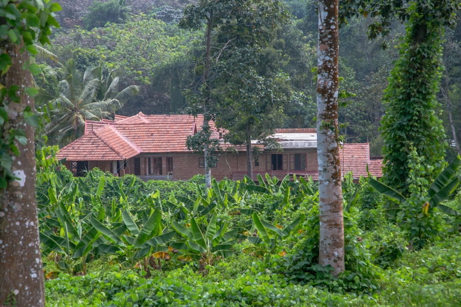 eco friendly house, building a sustainable home , green home , green house , ooru , kerala , Biju Abraham