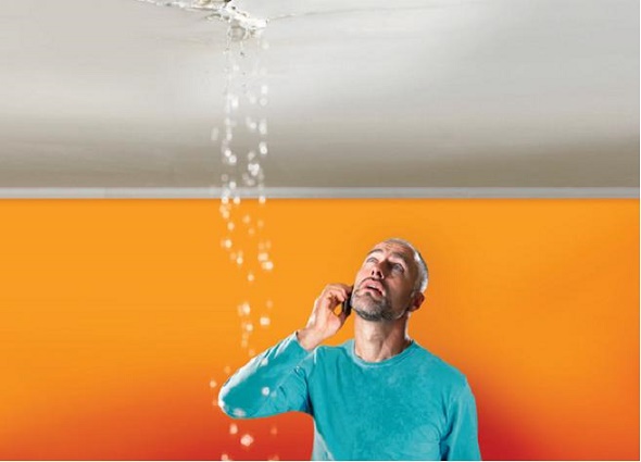 Leaking Roof How To Spot Causes Dangers And Tips