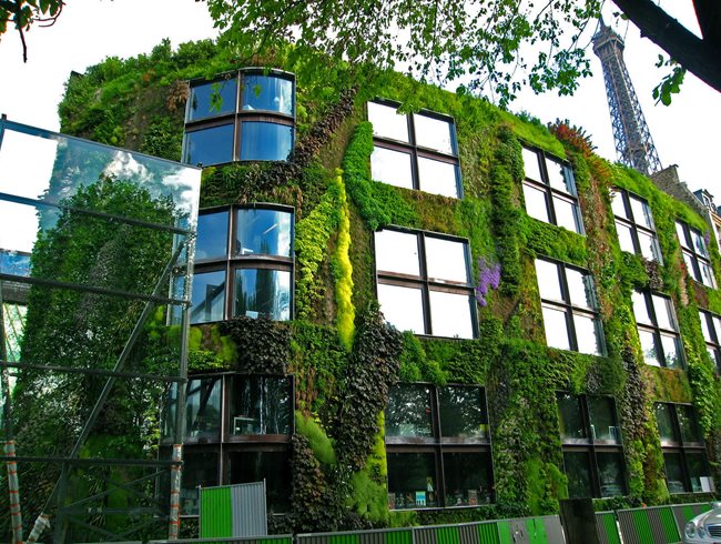 Vertical garden, living wall, green wall, indoor air pollution