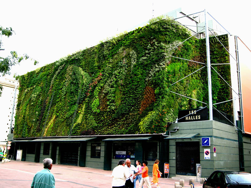 Vertical garden, living wall, green wall, indoor air pollution