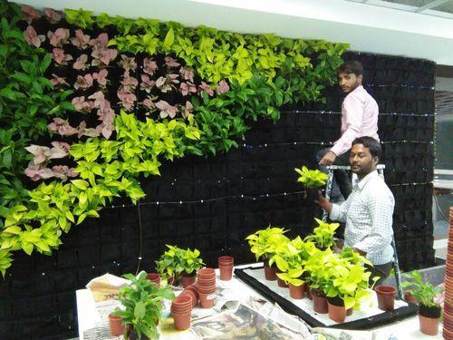 Vertical garden, living wall, green wall, indoor air pollution
