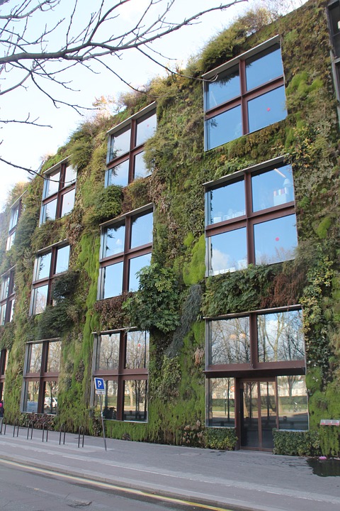 Vertical garden, living wall, green wall, indoor air pollution