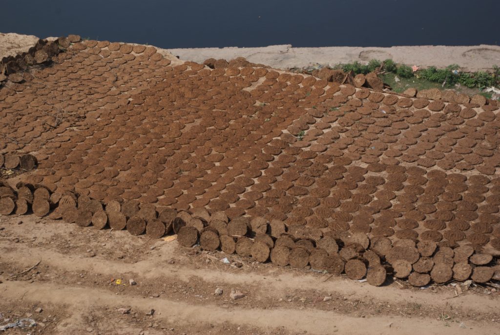 Why Indians Put Cow Dung On The Walls Of Their Home