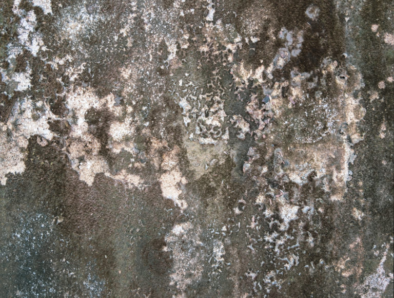 Wall Leakage 7 Common Causes Of Brick Leaks Go Smart Bricks