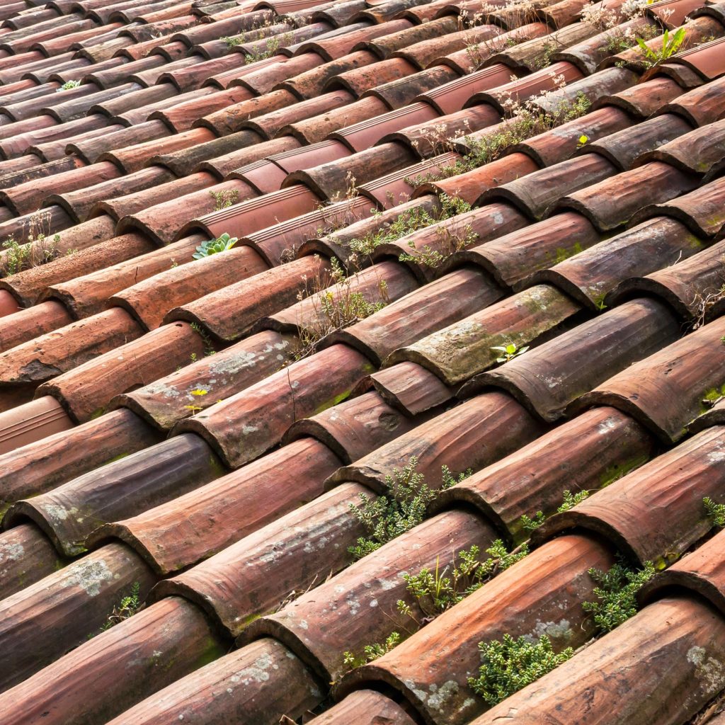 Have You Heard Clay Roof Tiles Have A Lifespan Of Up To 150 Years