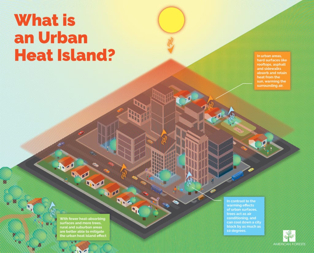 What is the urban heat island effect? - American Forests